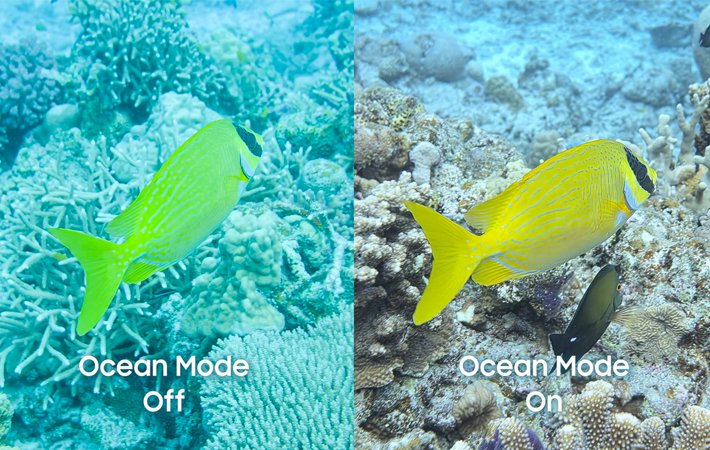 Fitur Ocean Mode Hadir di Samsung Galaxy S25 Ultra, Cek Caranya!